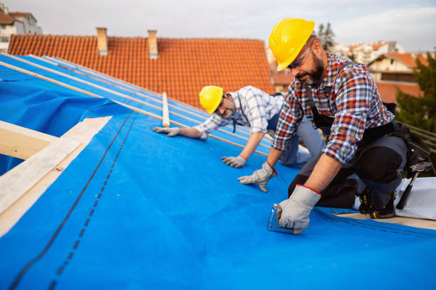 Best Local Roofing Companies  in Poynette, WI