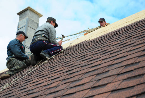 Best New Roof Installation  in Poynette, WI